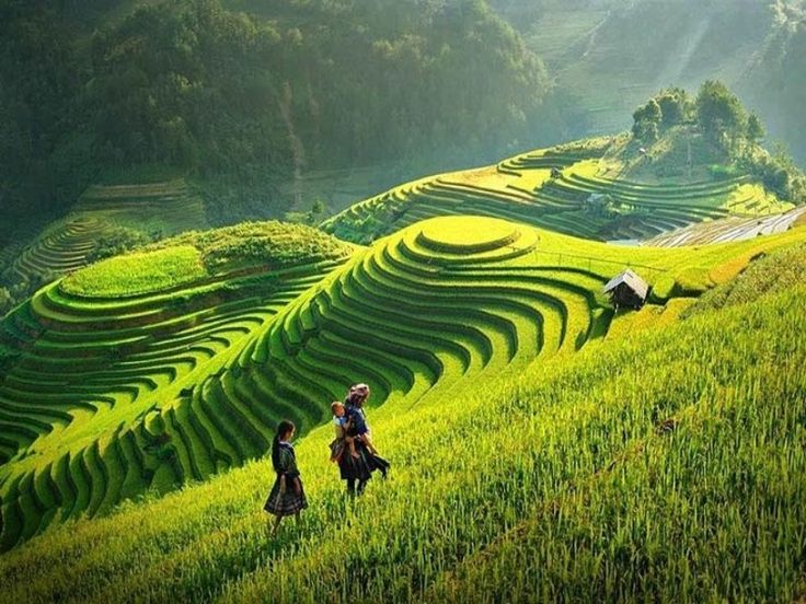 Sa Pa