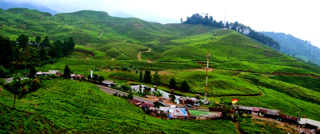 puncak